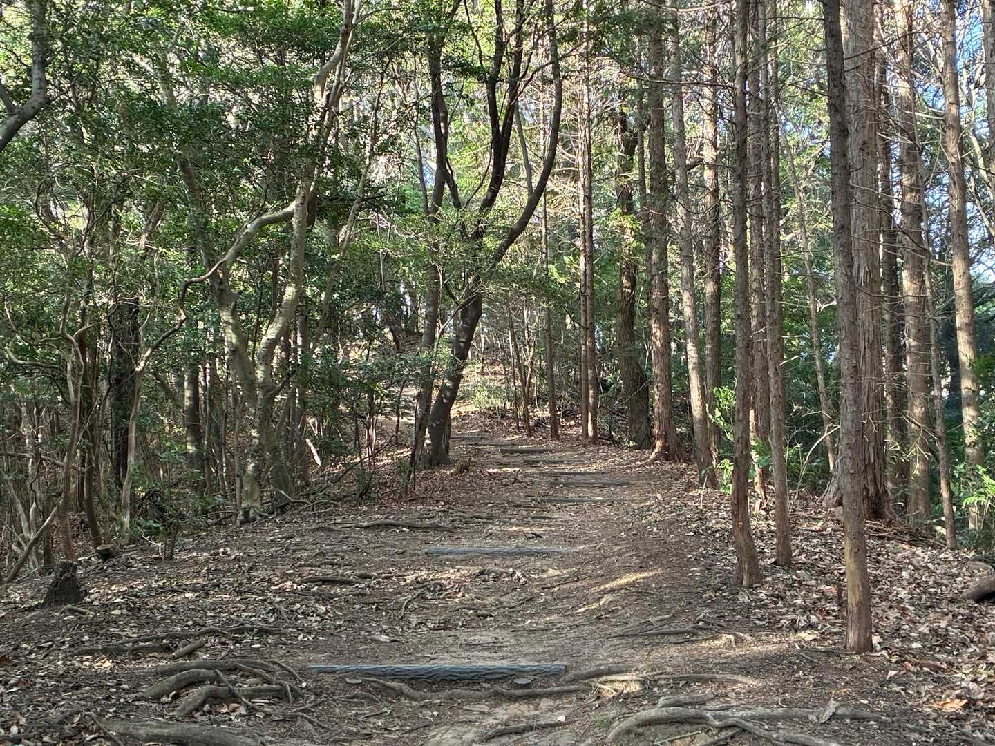 ポールを突きまくって
足に負荷をかけないようにしました