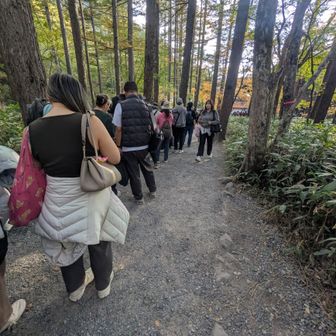 帰りの駐車場行きバス待ちの長蛇の列。
私は高速バス予約してありましたが、
紅葉期は物凄いですね💦。