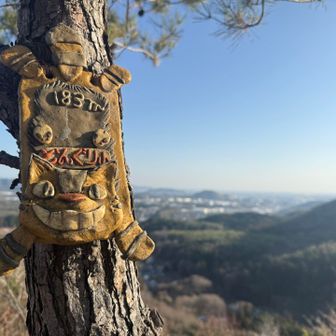 うは！可愛い！猫バスだー！