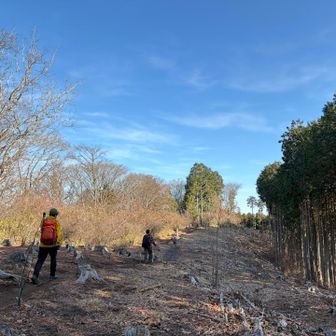 急に開けて明るくて広い道になりました
ポカポカ暖かい☺️