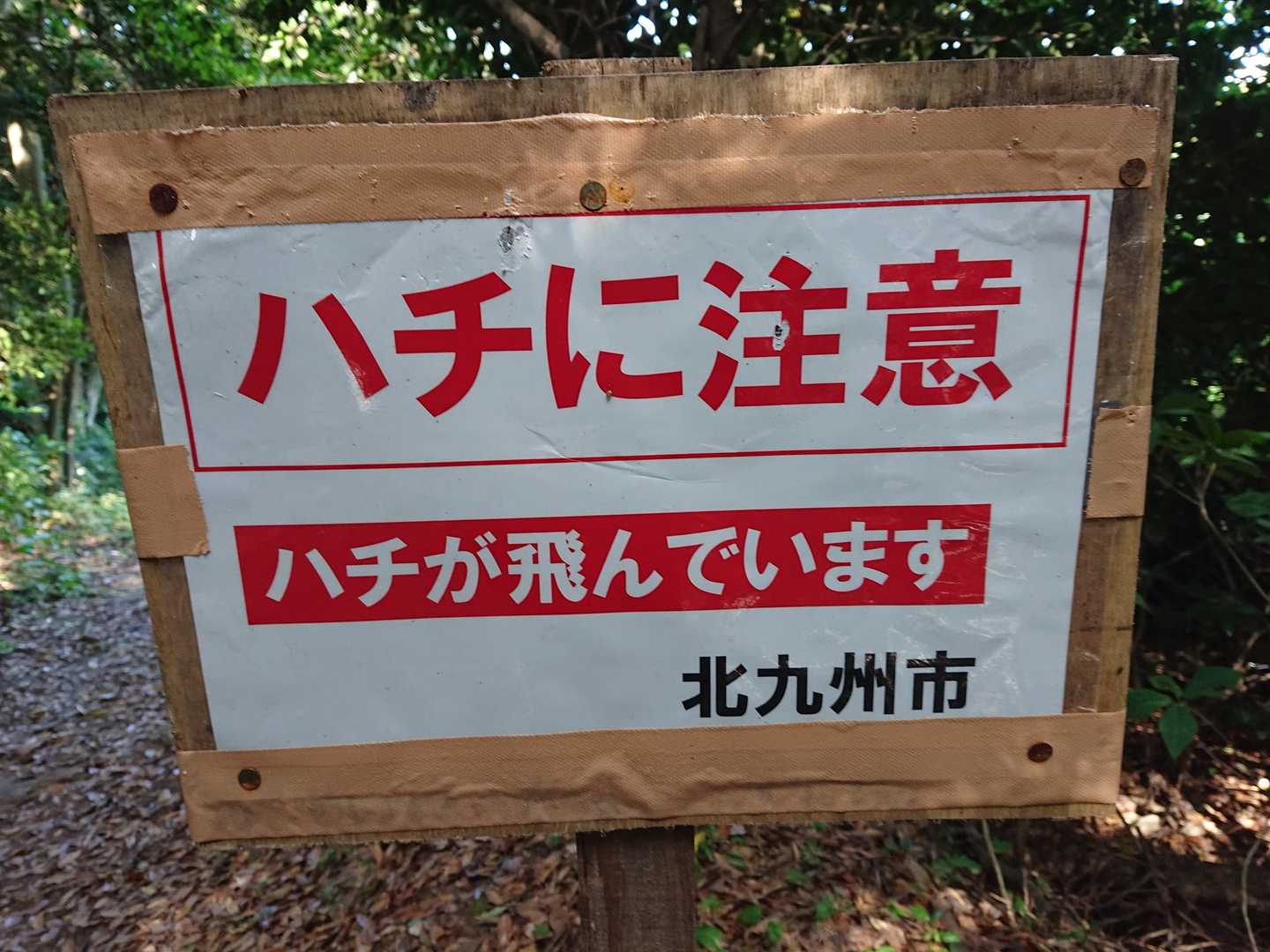藤ノ木越-高塔山 往復コースの写真