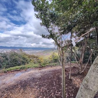 前回気付かなかったプレートと市街と…