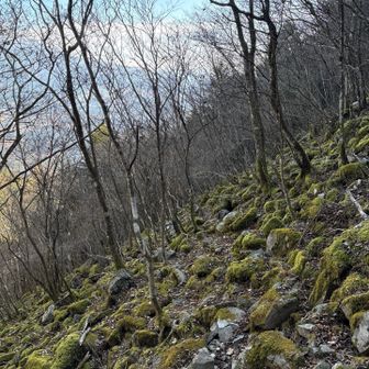 この中にルートがあります