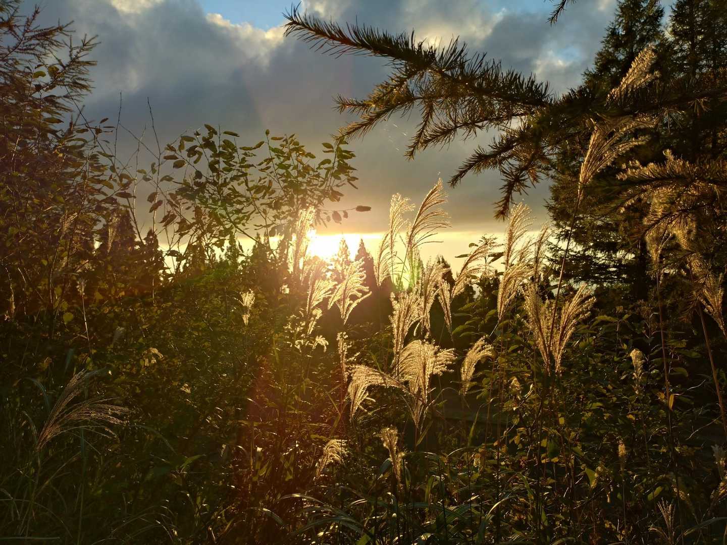 無事に 下山できました
やっぱり夕日は綺麗ですね