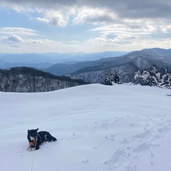 頂上目前で
また、イヤイヤ病