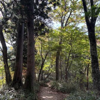 下山の時は沢山の人とすれ違った。途中で疲れ果ててる方が沢山いらして、「後どれ位ですか？？」と色んな方に質問された。皆さん登頂出来たかな？？