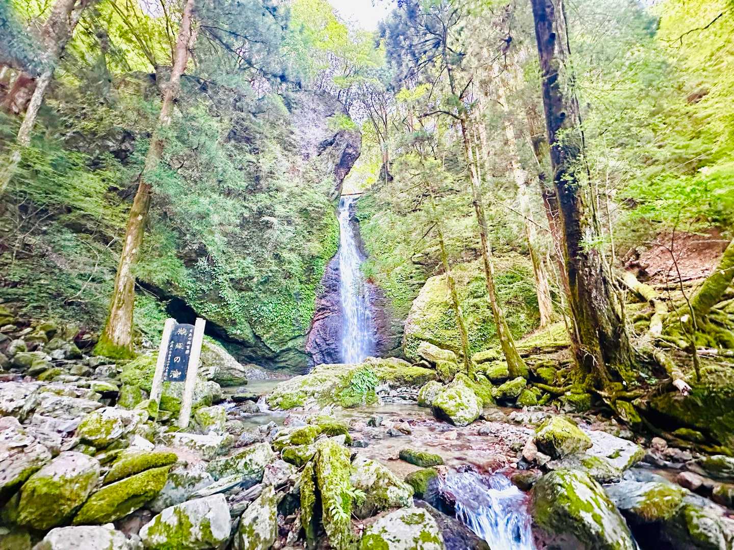 梶ヶ森 周回コースの写真