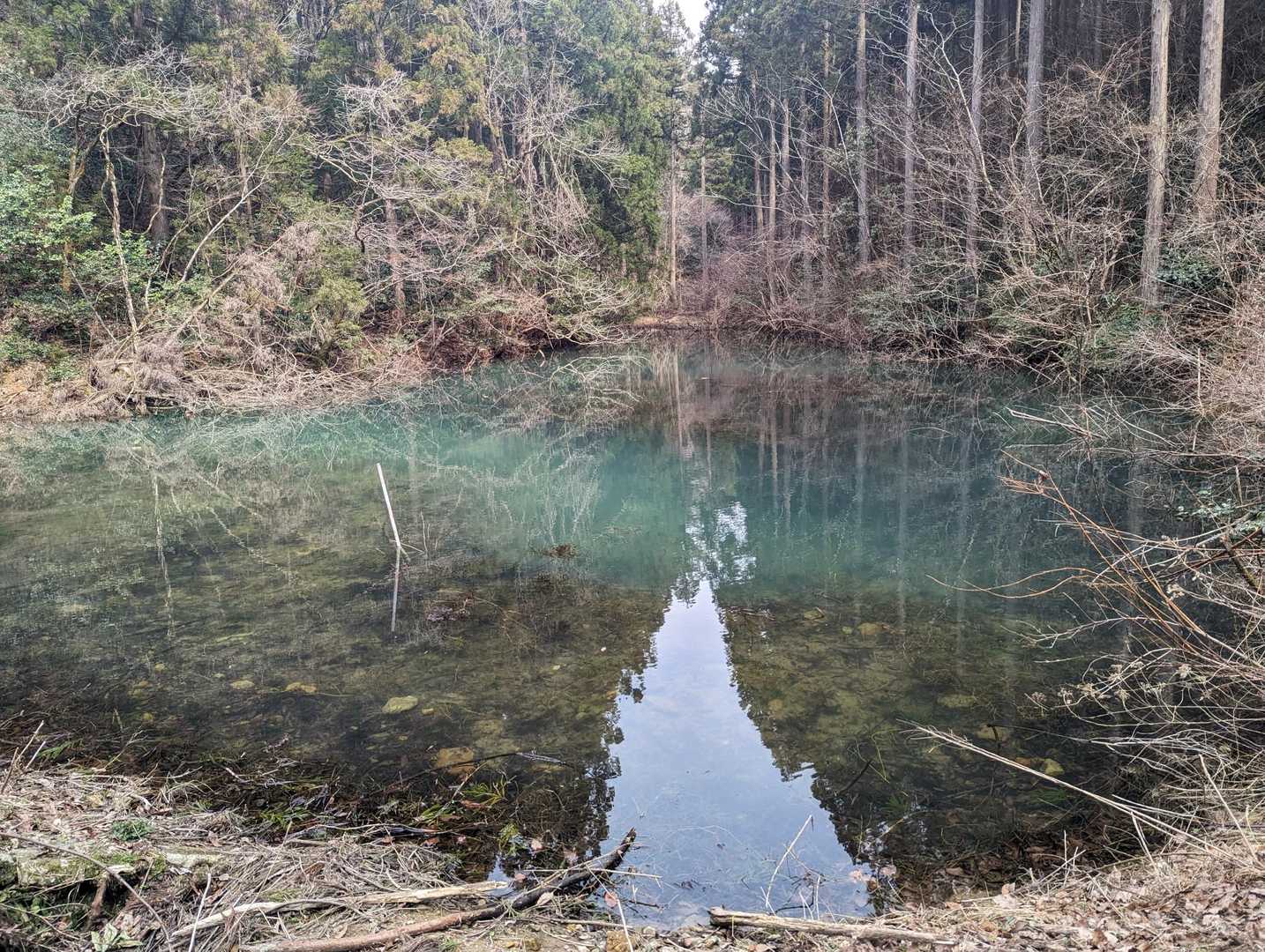 遊泉寺砂山 往復コースの写真