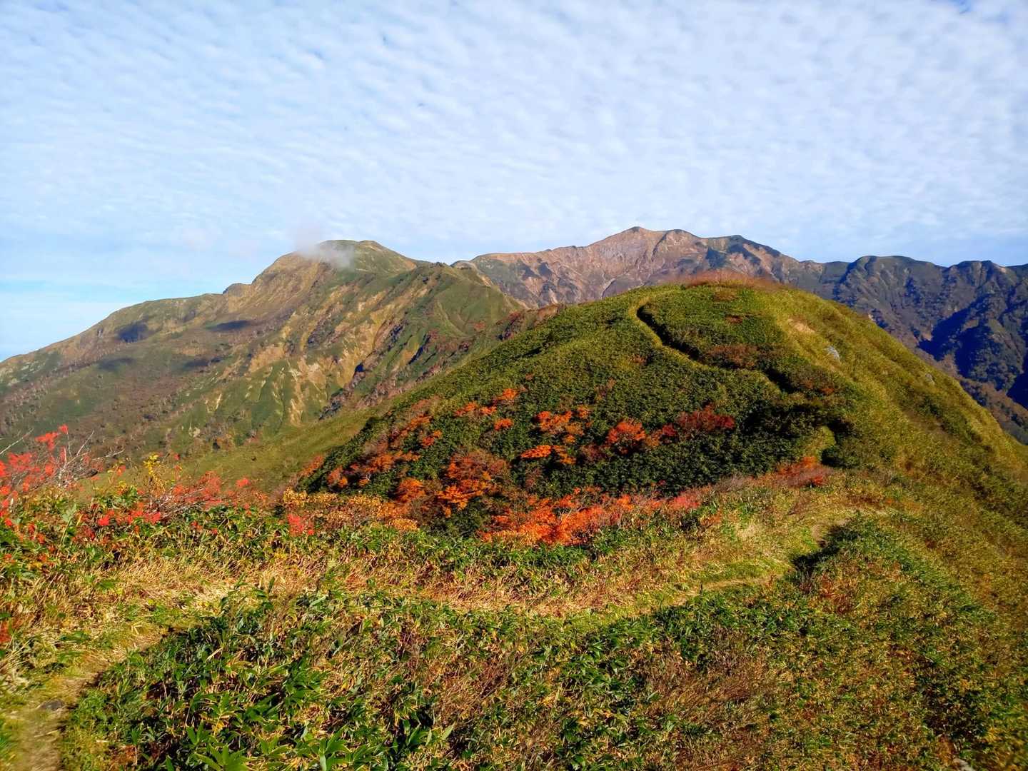 紅葉も見えます