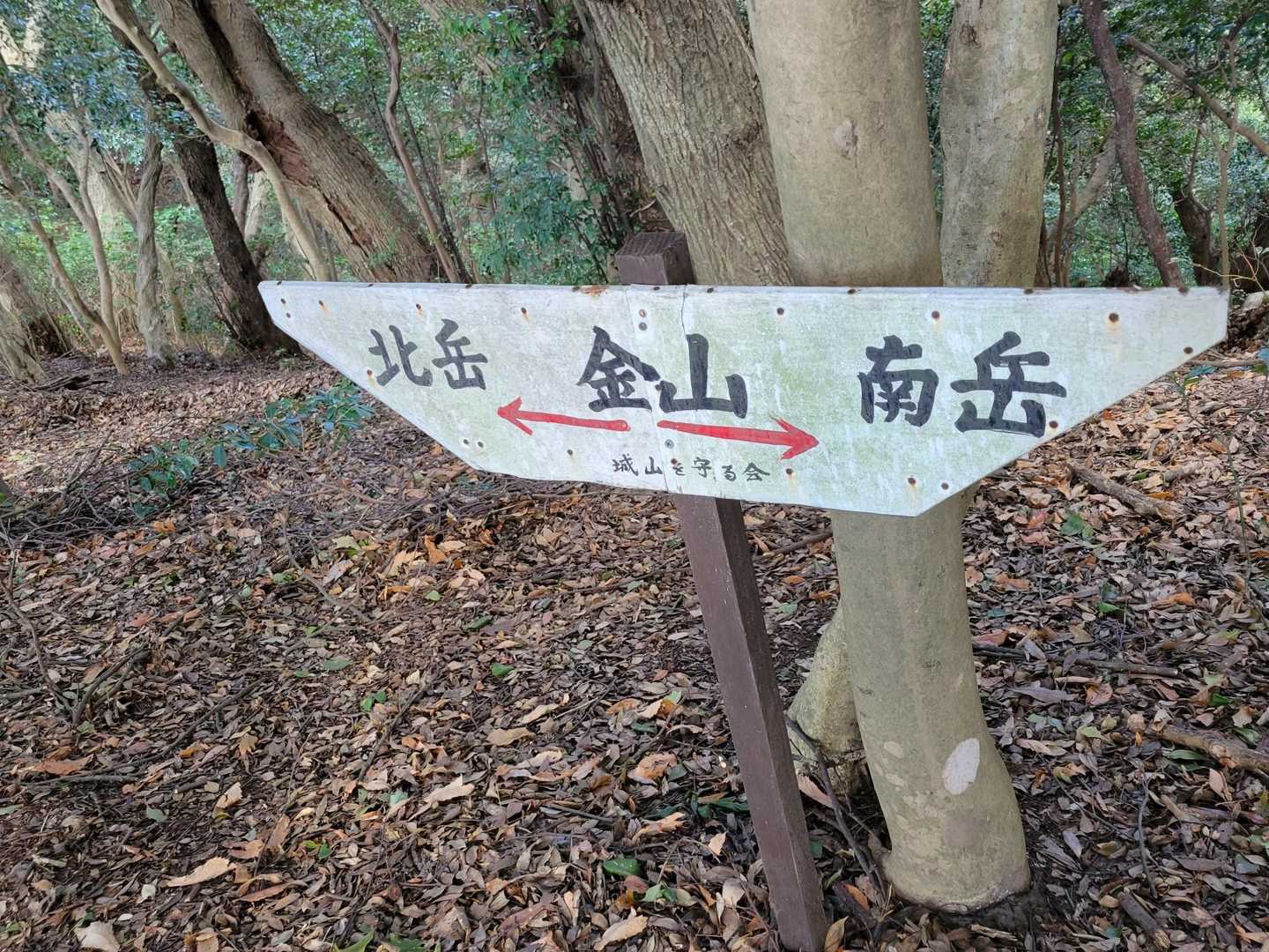 お次は金山北岳へ