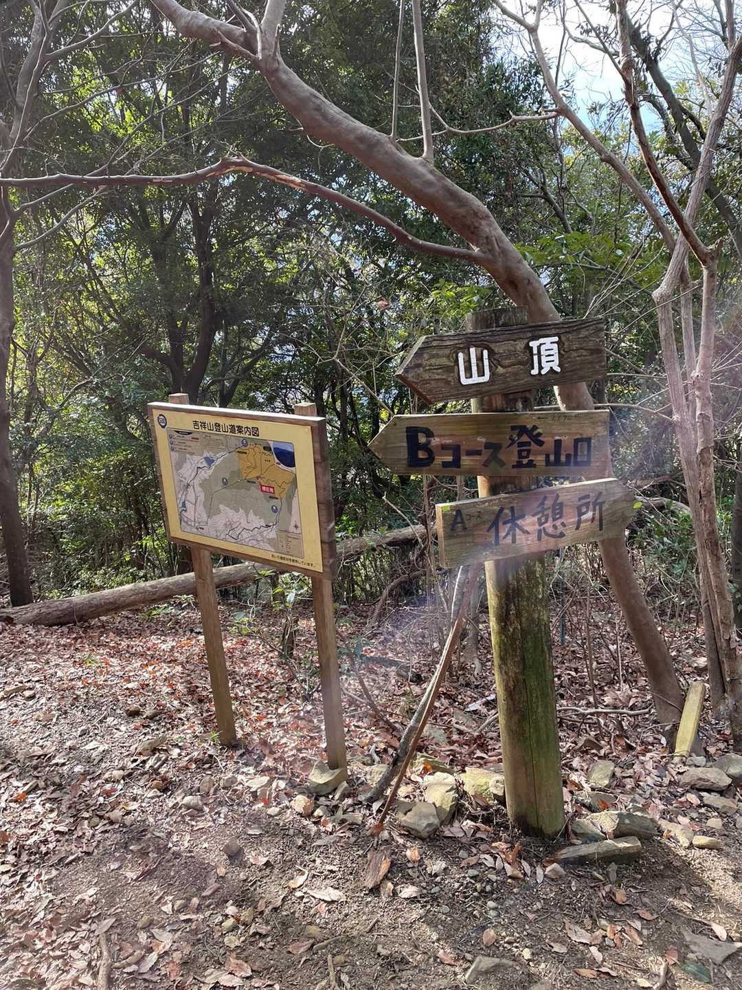 Bコース( ・∇・)