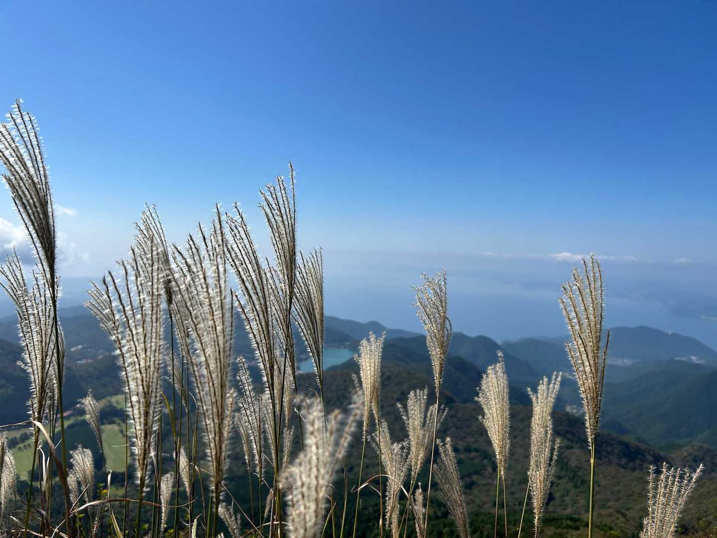良か天気で感謝です🙏
11月は紅葉🍁の雲仙、奥さま👸と歩けるかな？