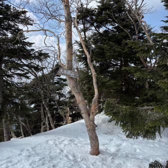 山頂は展望ありません😿