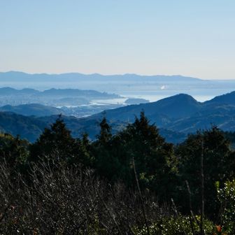 蒲郡の竹島が見えました。
