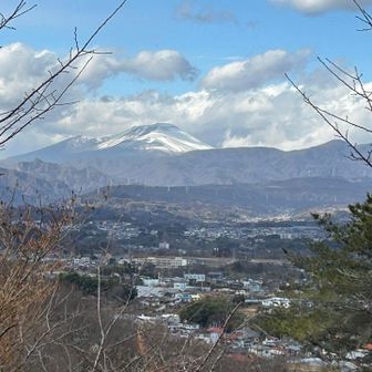 枝も剪定され見晴らし良きかな