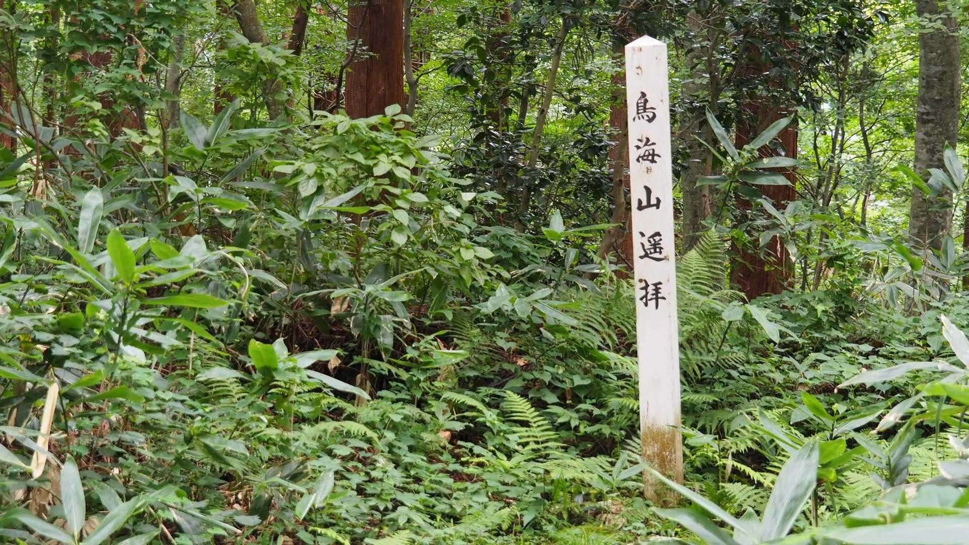 そんな方向⛰️🙏