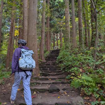 とても整備された登山道