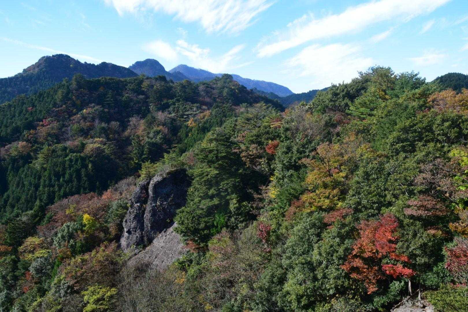 一ノ岳-大竿峠-犬ヶ岳 往復コースの写真