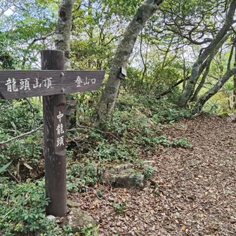 中龍頭