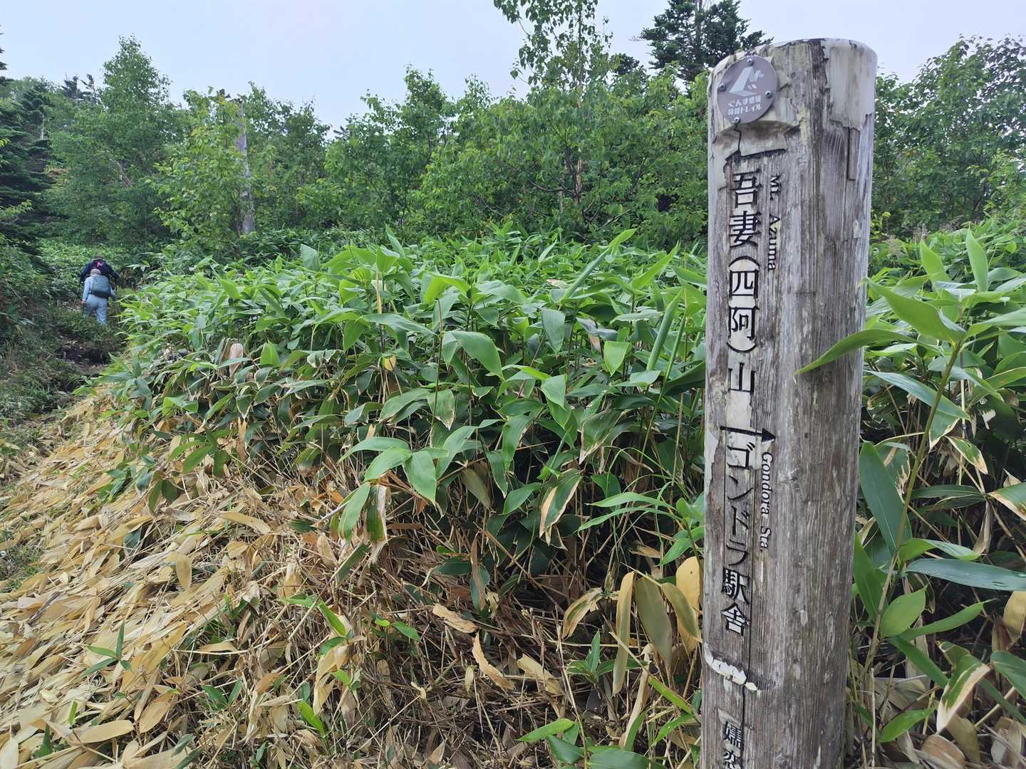四阿山 往復コースの写真