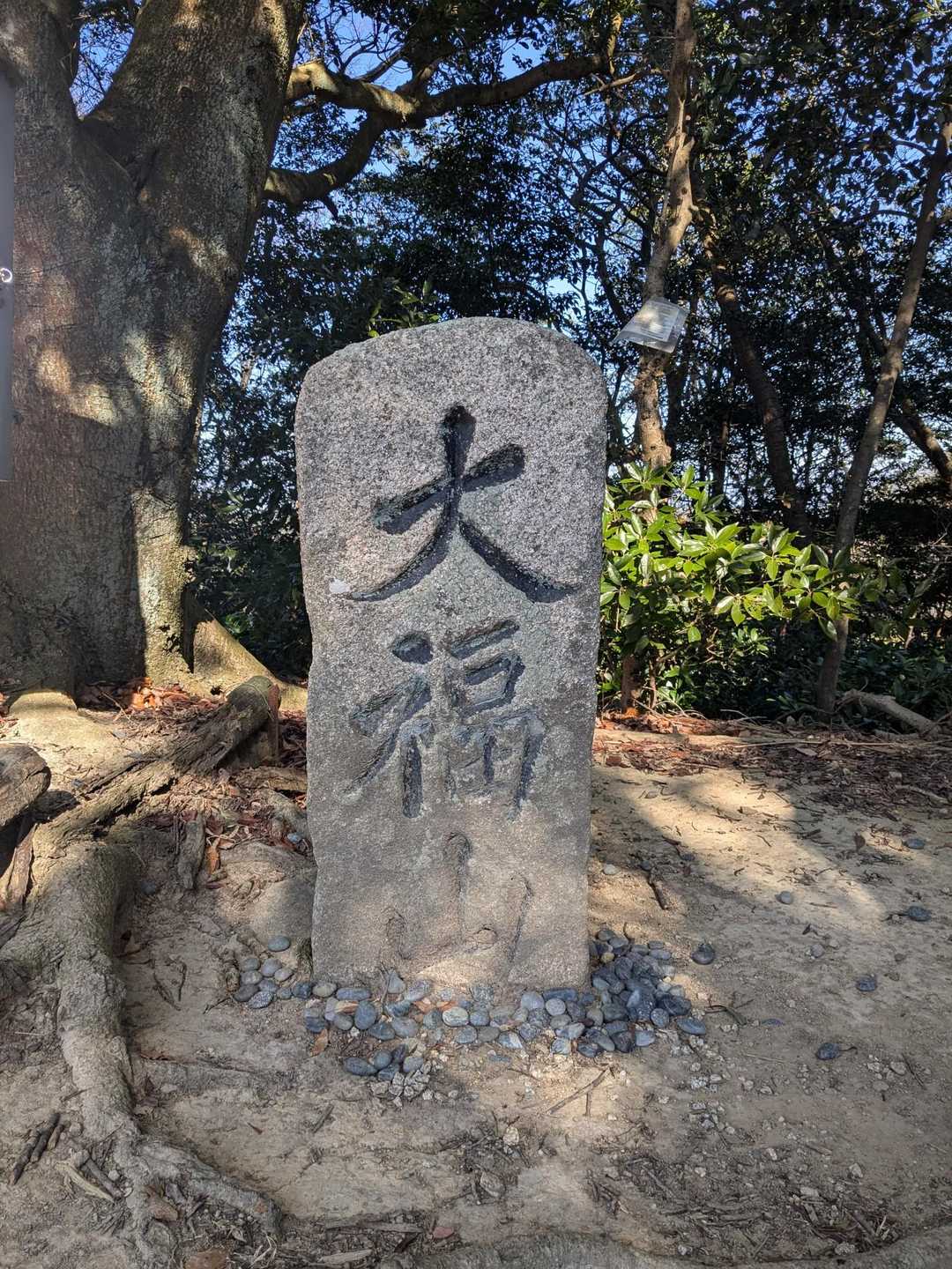 俎石山-大福山-籤法ヶ岳-井関峠 周回コースの写真
