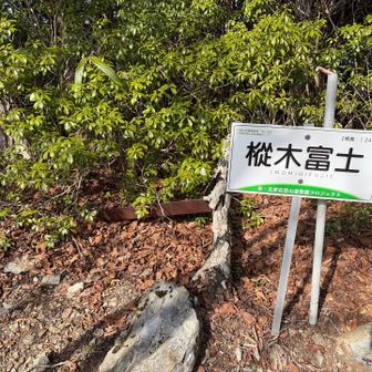 ここが今回の稜線歩きで最後の山頂になります。