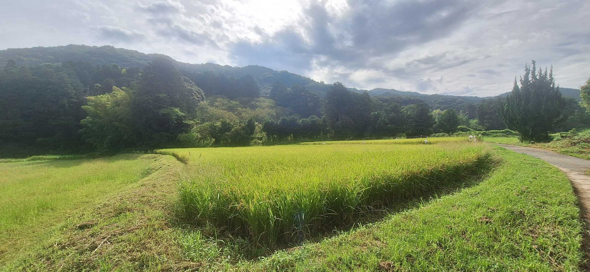 いざ‼️城山🏯