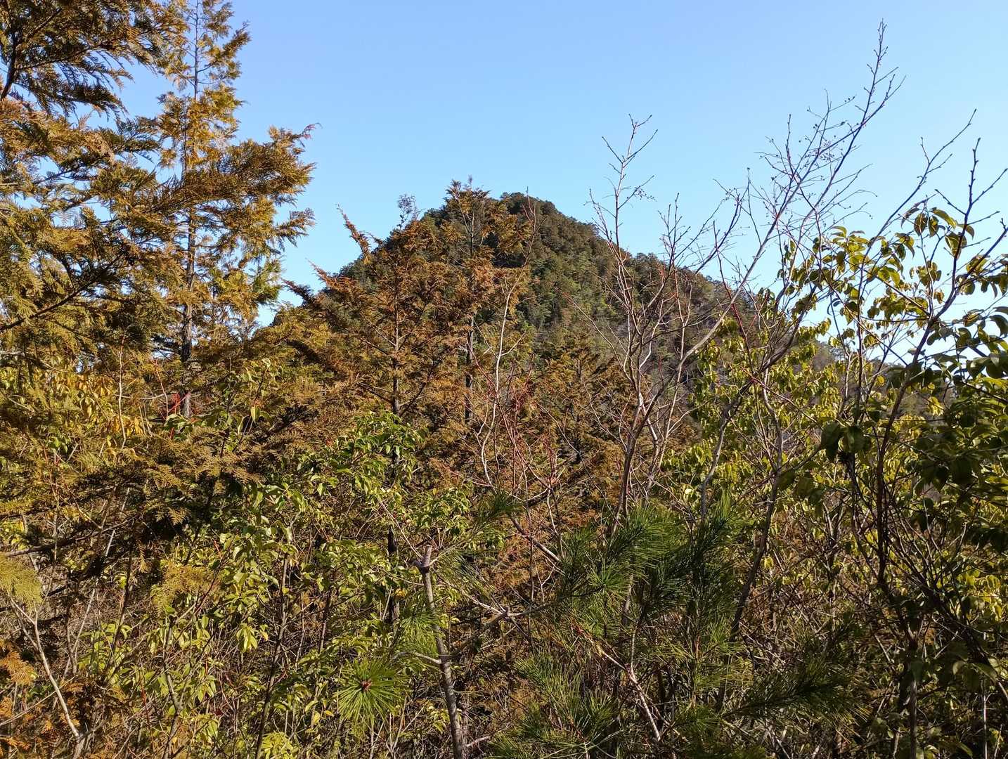 振り返って、松鞍山