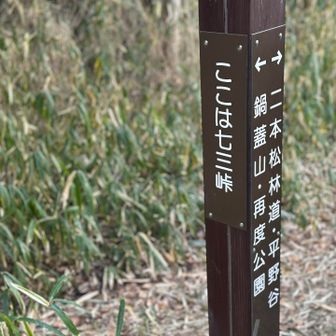 ◾︎七三峠▪︎

二本松林道に進みます🥾