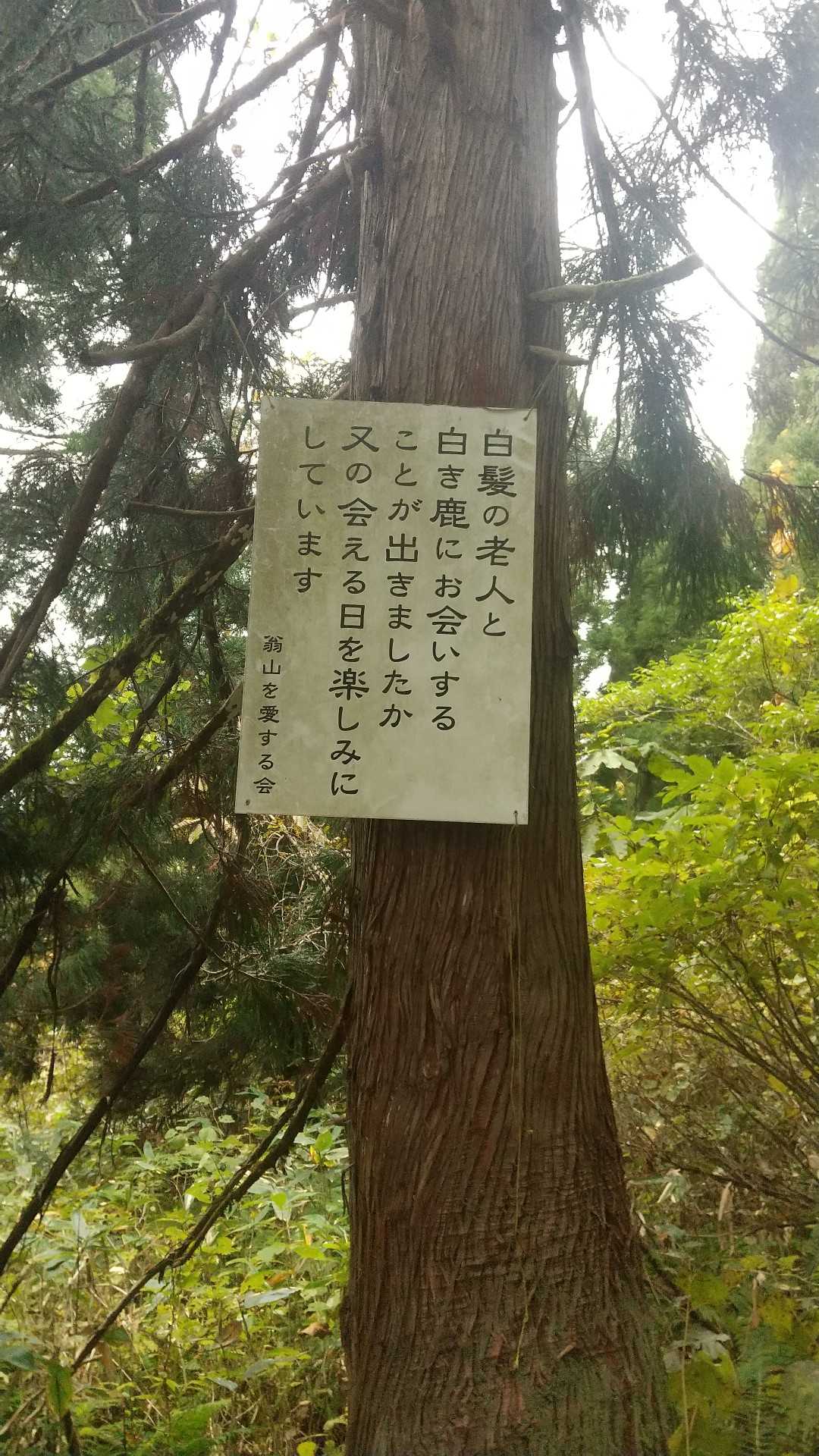 いやー、残念ながら
どちらも出会えなかった！
出会えても、ビックリするから嫌だが(笑)
