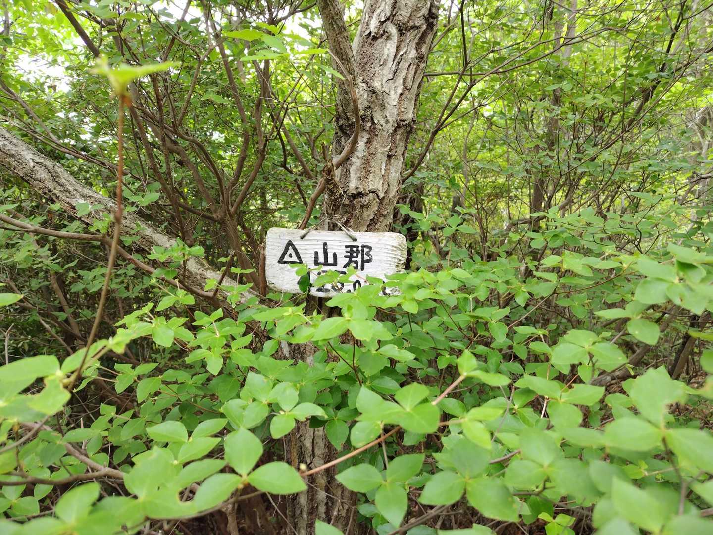 鵯越駅-石井ダム登山口-菊水山-鍋蓋山-再度越 縦走コースの写真
