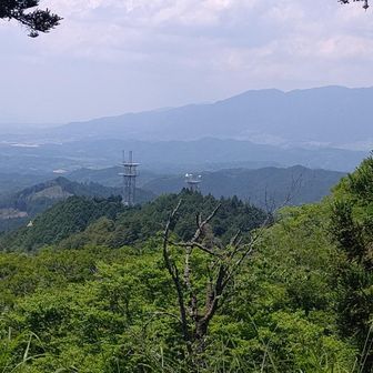 高取山 / zep8617の登山データ | YAMAP / ヤマップ