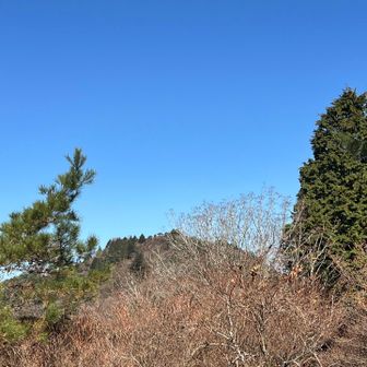 ここから山頂の東屋が見える