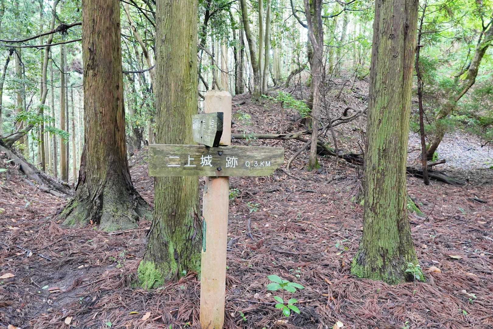 この0.3kmが果てしなく長く感じたのは何故だろう