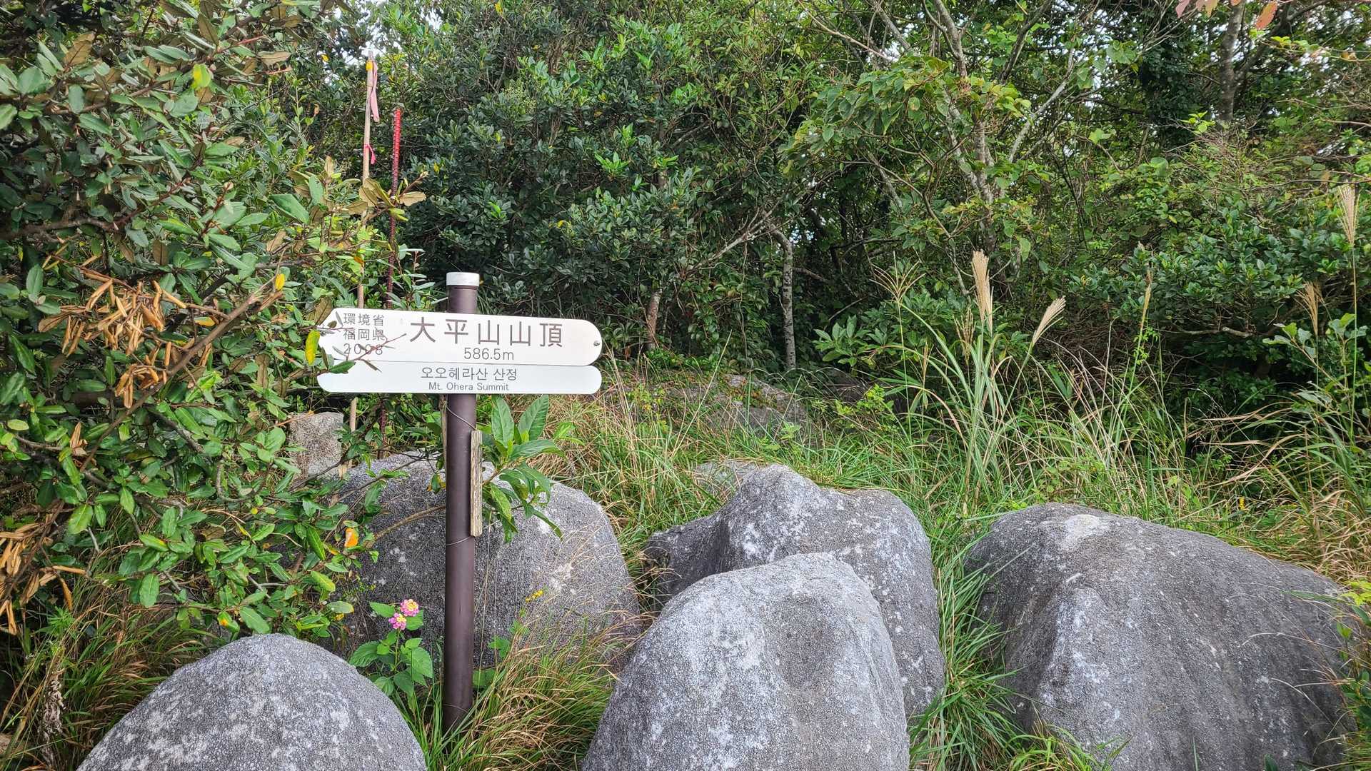 山頂に着きました⛰️