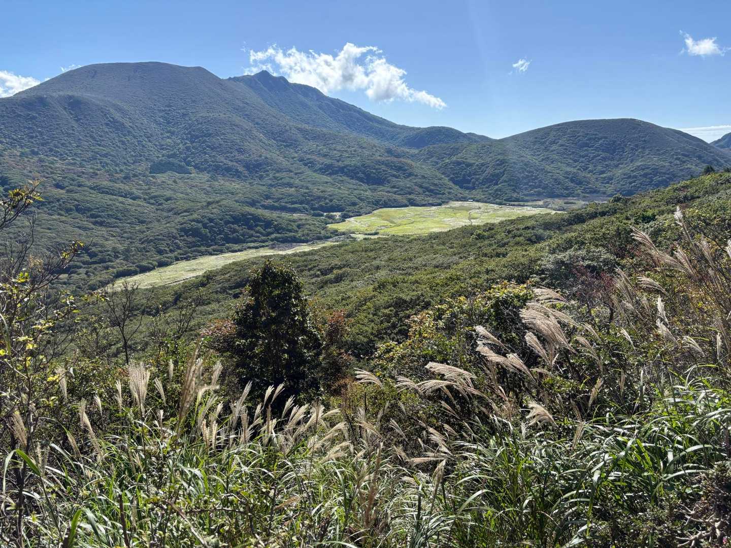ハローグッバイの丘より坊ヶづる

北大船と大船山、立中山が見えてます🏔️