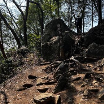 とりあえず撮ってみた