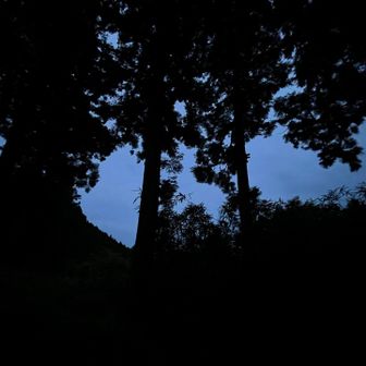 朝駆けする？経ヶ岳までピストンする？とか思って、朝外に出たら分厚い雲。
もちろん二度寝（四度寝）しました！