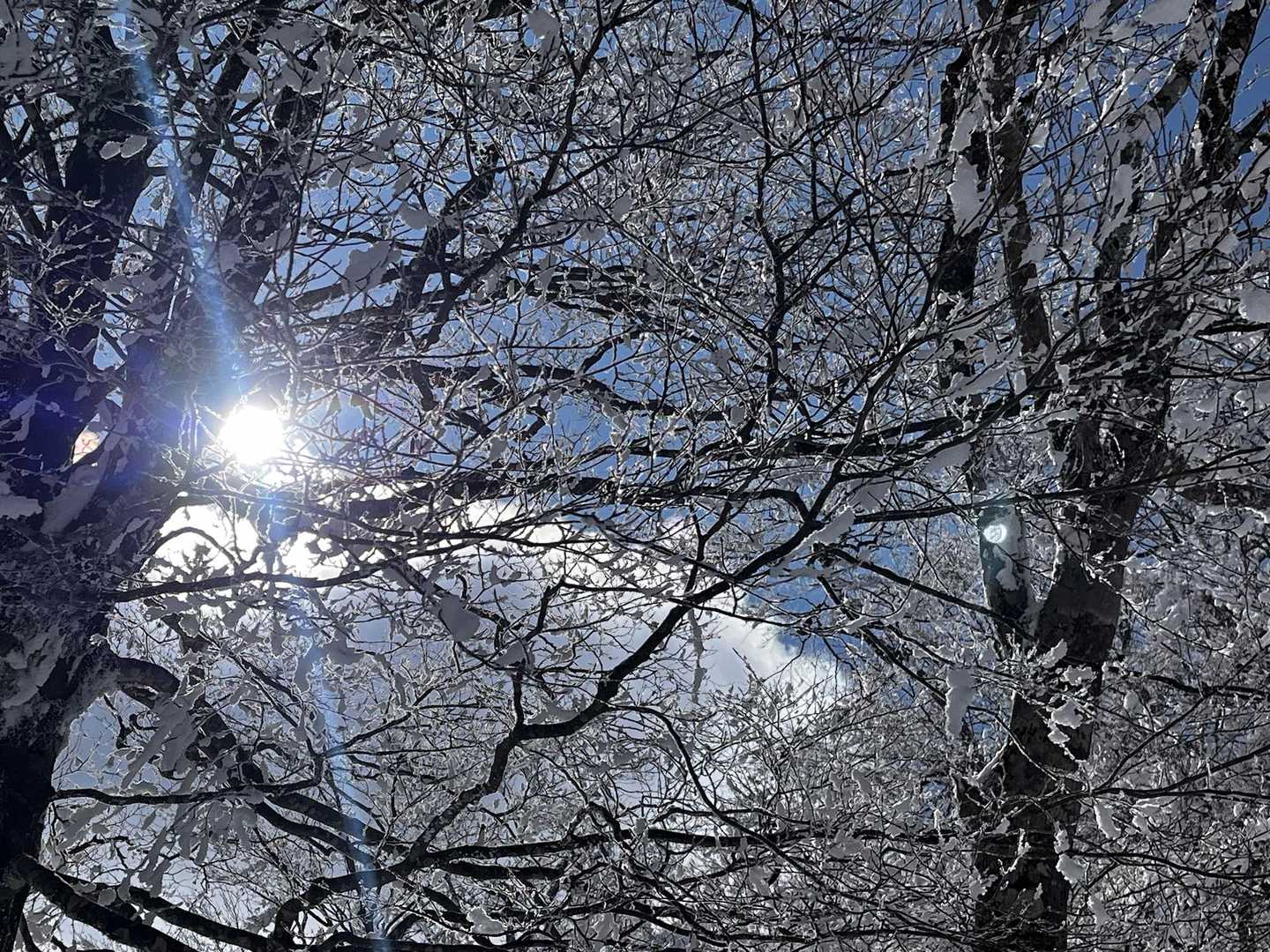 明神岳付近で青空登場！