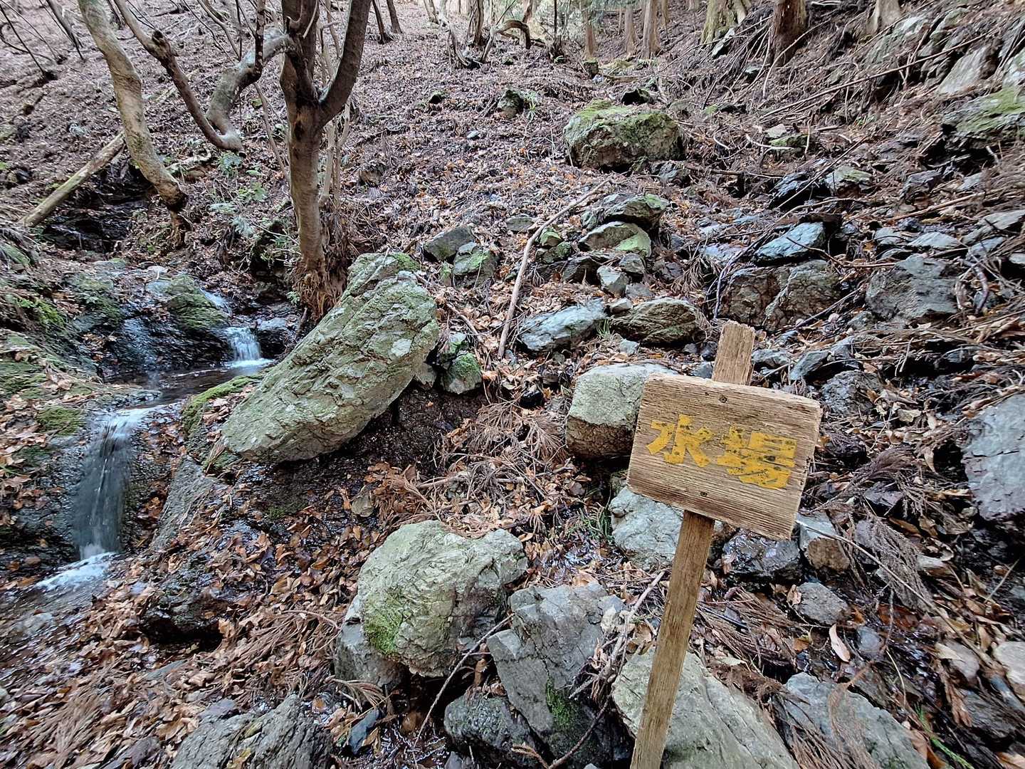下山は来た道戻ります。
