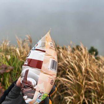 今回も山崎のランチパック　パンパン
取り出してみたけど、今回も食べず仕舞い。