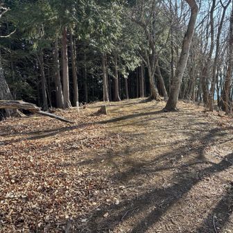 頂上は広め
ベンチとかはないけど🥲