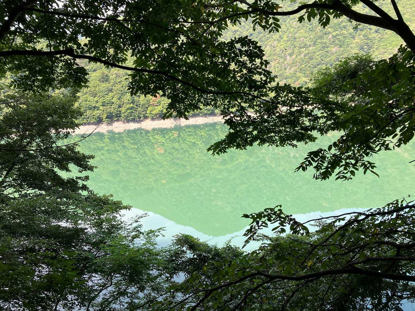 見惚れます