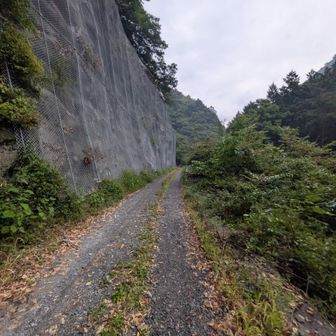 前に崩れたのはここかなぁ？