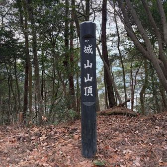 7⃣城山山頂⛰️。🌬️強風で寒い😰