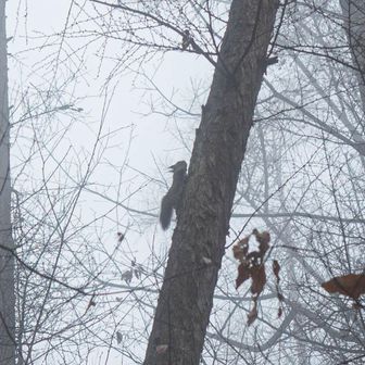 太郎山であったのはひさしぶりだ。うれしい