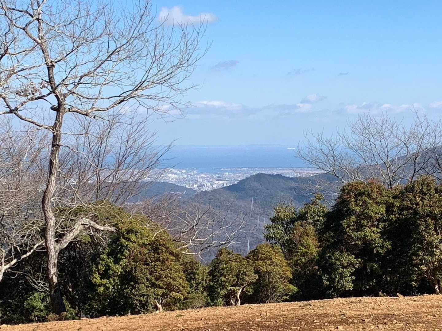 海や市街が見えます👀