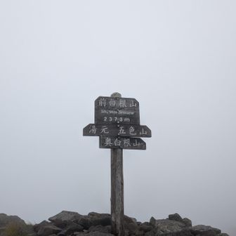 前白根山山頂
ガスガスで何も見えません！