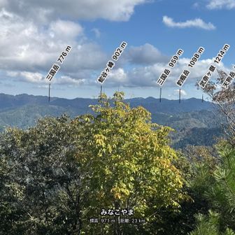 ピンの落ち方がややおかしいですが😅