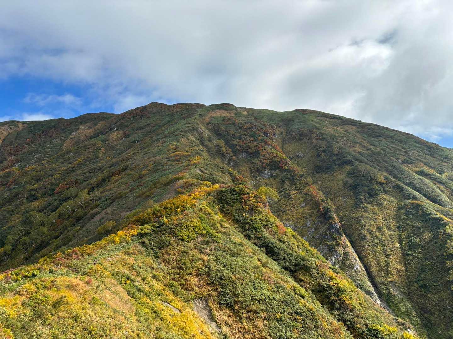 山頂へのウイニングロード⛰️